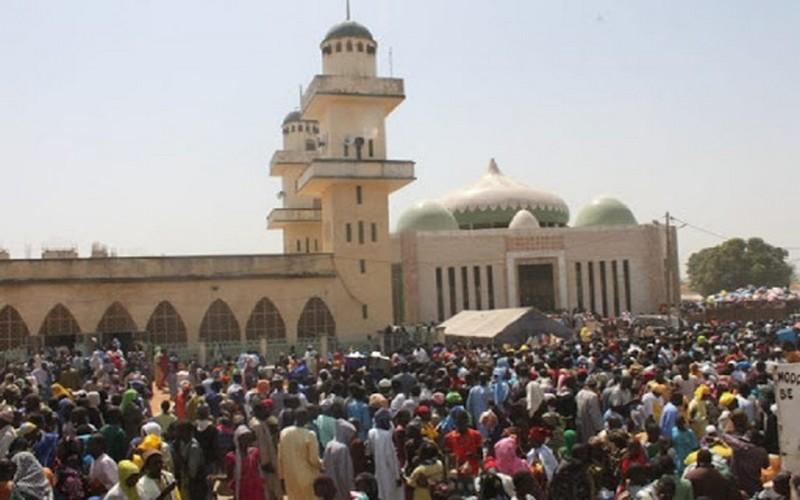 Gamou 2025 à Tivaouane : les pèlerins privilégient la cuisine sur place face aux restrictions sanitaires Gamou 2025 à Tivaouane : les pèlerins privilégient la cuisine sur place face aux restrictions sanitaires