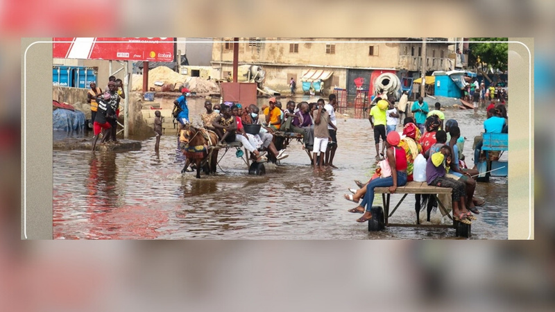 Inondations à Dakar : les charrettes deviennent le transport phare de la banlieue