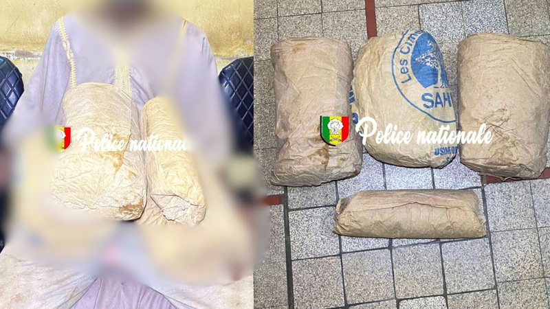 Kaolack : 3,6 kg de ch@nvre indien saisis dans la forêt de Thioyene Hamady Mala