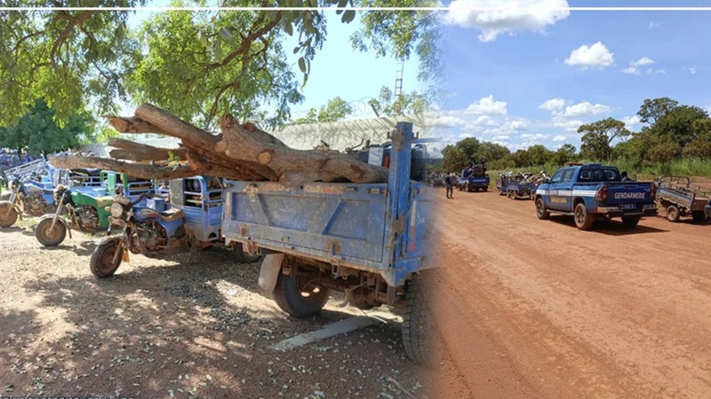 Saraya : deux sites d’orpaillage clandestins démantelés à Kolia Saraya : deux sites d’orpaillage clandestins démantelés à Kolia