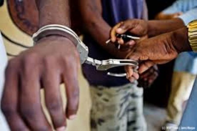 Kolda : six personnes arrêtées pour vol de bétail et abattage clandestin Kolda : six personnes arrêtées pour vol de bétail et abattage clandestin