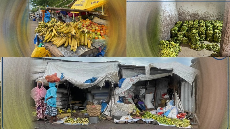 Kaolack : la flambée des prix des fruits inquiète consommateurs et commerçants