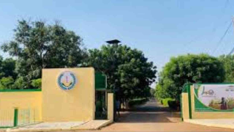 Thiès – L’ENSA paralysée : le SAES reconduit une nouvelle grève de 72 heures Thiès – L’ENSA paralysée : le SAES reconduit une nouvelle grève de 72 heures