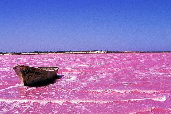 🌸 Le Lac Rose retrouve sa teinte légendaire grâce à la régénération naturelle