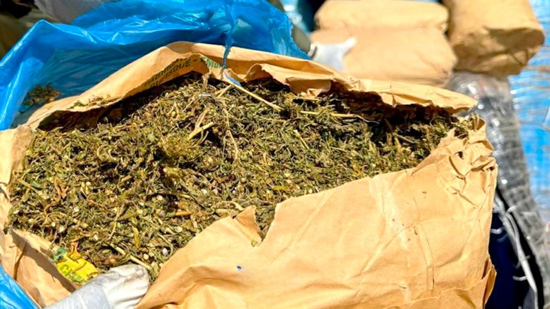 Trafic de ch@nvre indien à Djinack Bara : 150 kg saisis, un mineur impliqué et des villages en rébellion Trafic de ch@nvre indien à Djinack Bara : 150 kg saisis, un mineur impliqué et des villages en rébellion