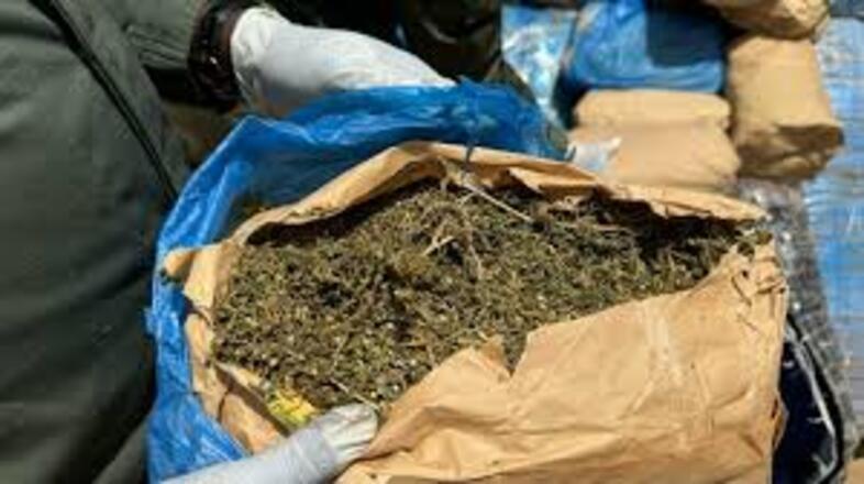 150 kg de chanvre saisis à Djinack Bara : une filature, un enfant convoyeur et une rébellion villageoise