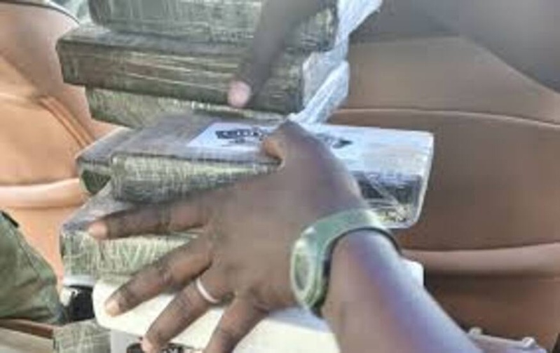 Affaire Diogo : Embourbés avec 5 kg de chanvre indien, trois hommes dans de sales draps
