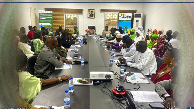 Louga : l’adjoint au gouverneur appelle à la préservation des lampadaires solaires installés par l’ANER Louga : l’adjoint au gouverneur appelle à la préservation des lampadaires solaires installés par l’ANER