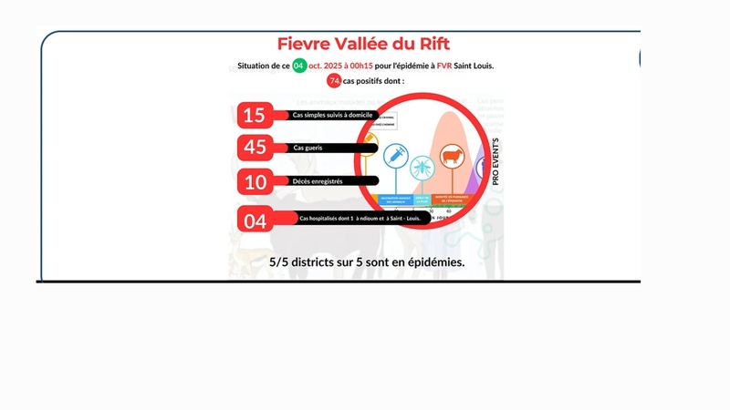 Saint-Louis : 10 décès enregistrés dans l’épidémie de fièvre de la vallée du Rift Saint-Louis : 10 décès enregistrés dans l’épidémie de fièvre de la vallée du Rift