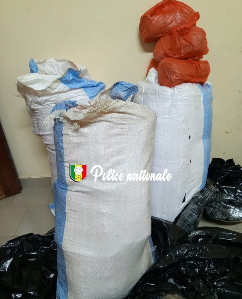 Thiès : La Brigade régionale des stupéfiants saisit 88 kg de ch@nvre indien à Mbour Thiès : La Brigade régionale des stupéfiants saisit 88 kg de ch@nvre indien à Mbour