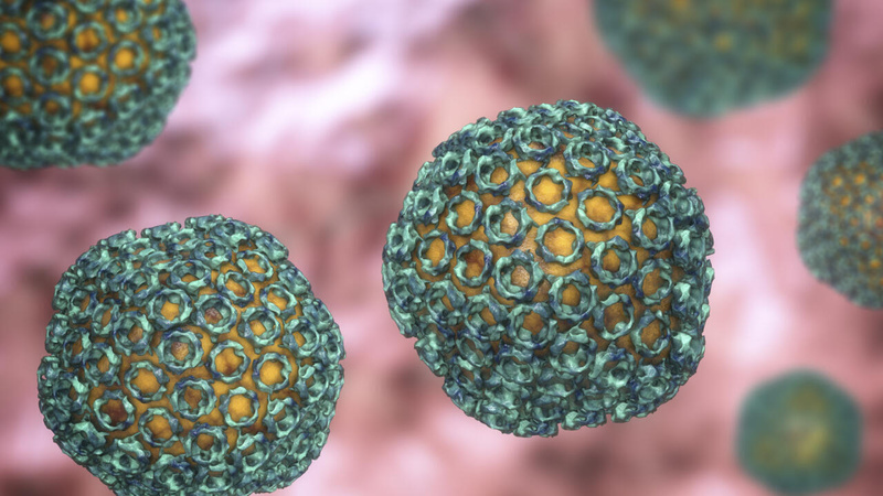 Fièvre de la Vallée du Rift : 13 morts recensés à Saint-Louis sur 107 cas confirmés Fièvre de la Vallée du Rift : 13 morts recensés à Saint-Louis sur 107 cas confirmés