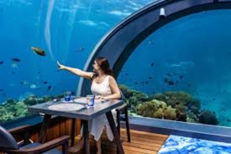 Hauts-de-Seine. Ce nouveau restaurant immersif envoie les clients dans les fonds marins Hauts-de-Seine. Ce nouveau restaurant immersif envoie les clients dans les fonds marins