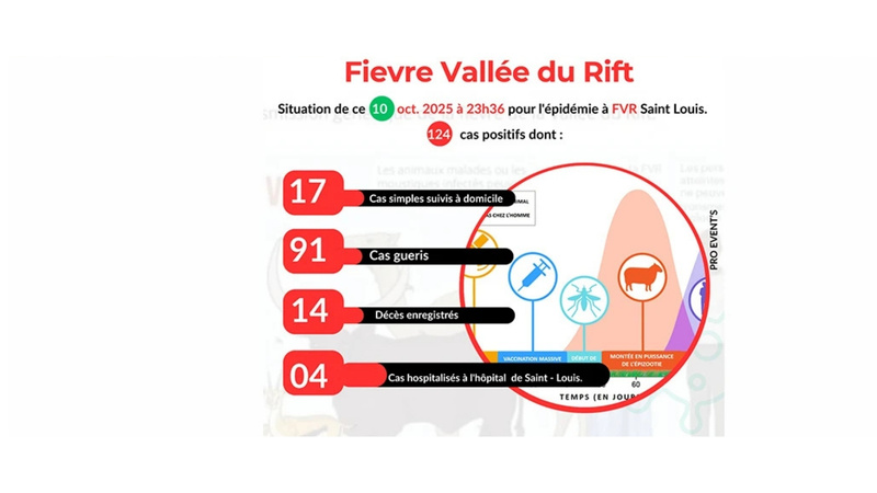 Fièvre de la Vallée du Rift : 15 décès enregistrés à Saint-Louis Fièvre de la Vallée du Rift : 15 décès enregistrés à Saint-Louis