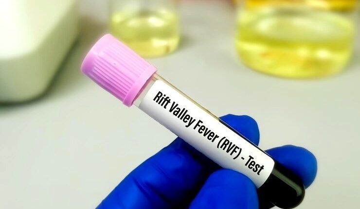 Fièvre de la Vallée du Rift à Saint-Louis : 124 patients guéris sur 158 cas recensés Fièvre de la Vallée du Rift à Saint-Louis : 124 patients guéris sur 158 cas recensés