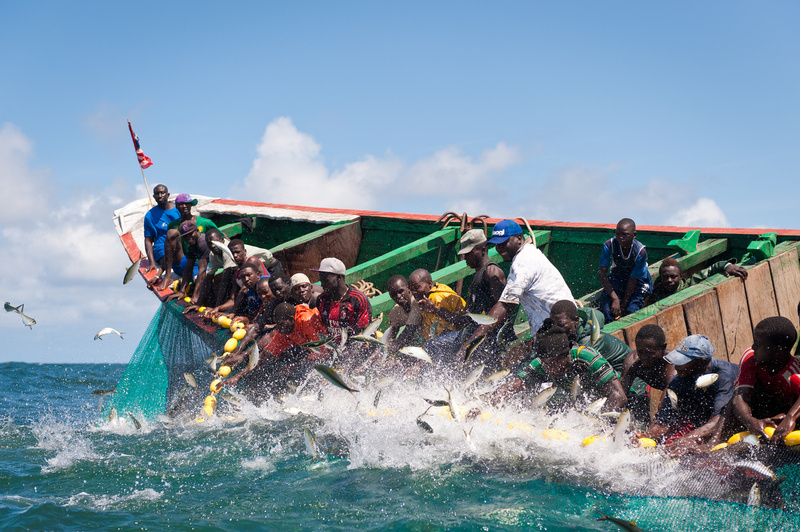 Le Sénégal renforce ses actions pour une pêche durable et transparente