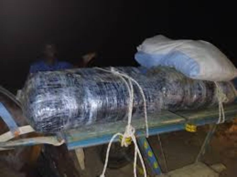 Kaffrine : sept kilos de chanvre indien saisis à Diamagadio Kaffrine : sept kilos de chanvre indien saisis à Diamagadio