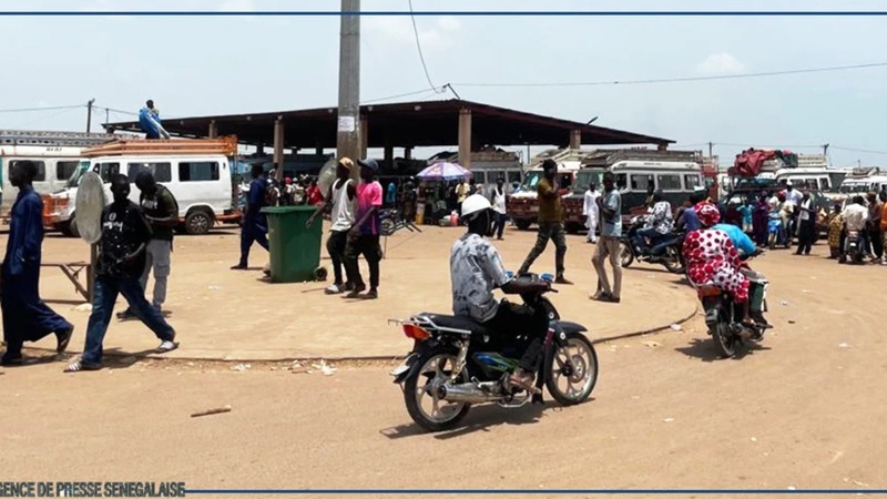 Kaolack : les mototaxis “Jakarta”, moteur d’emploi et symbole d’une jeunesse résiliente Kaolack : les mototaxis “Jakarta”, moteur d’emploi et symbole d’une jeunesse résiliente