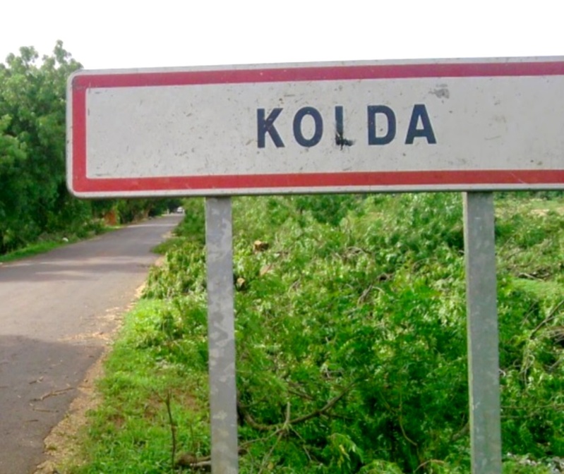 Kolda : appel à la mobilisation contre la fièvre de la vallée du Rift Kolda : appel à la mobilisation contre la fièvre de la vallée du Rift