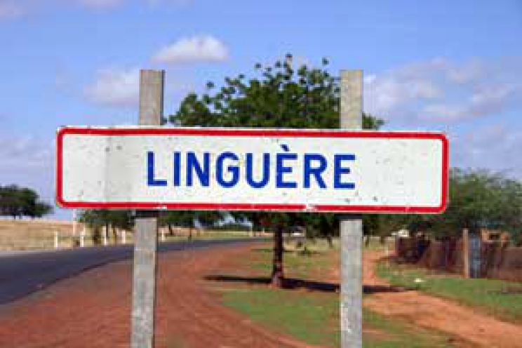 Linguère : lancement des opérations de désencombrement public dès vendredi