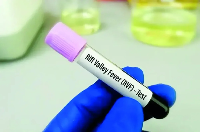 Deux cas de fièvre de la Vallée du Rift confirmés à Dahra Djoloff, dont un décès Deux cas de fièvre de la Vallée du Rift confirmés à Dahra Djoloff, dont un décès