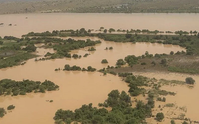 Inondations dans le delta du fleuve Sénégal : 323 hectares de cultures détruits selon la SAED