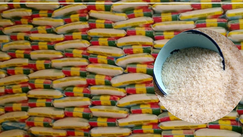 Mévente de 350 000 tonnes de riz dans le nord du Sénégal : les producteurs alertent sur une situation critique Mévente de 350 000 tonnes de riz dans le nord du Sénégal : les producteurs alertent sur une situation critique