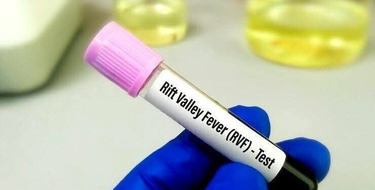 Fièvre de la Vallée du Rift : 12 nouveaux cas enregistrés au Sénégal, aucun décès supplémentaire