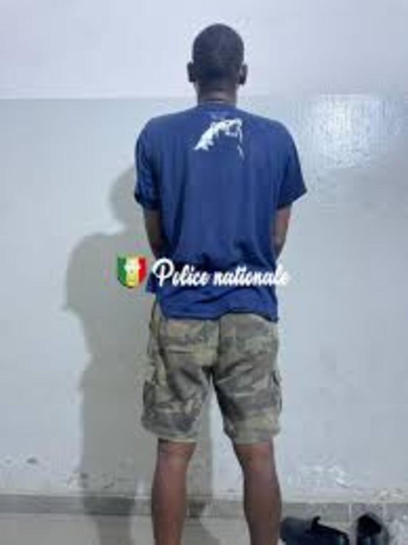 Drame à Maka Dané : un talibé tue le petit-fils du marabout Babacar Diané