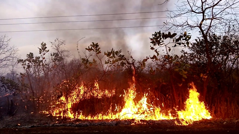 Podor : un feu de brousse ravage plusieurs villages des communes de Ndiayène-Pendao et Gamadji Saaré Podor : un feu de brousse ravage plusieurs villages des communes de Ndiayène-Pendao et Gamadji Saaré
