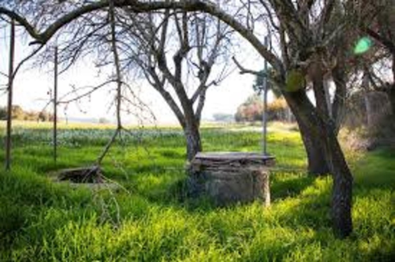 Thiès : Un élève de terminale tue un jardinier et jette le corps dans un puits Thiès : Un élève de terminale tue un jardinier et jette le corps dans un puits