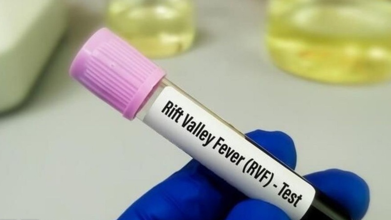 Fièvre de la Vallée du Rift à Fatick : 11 patients guéris sur 18 cas enregistrés Fièvre de la Vallée du Rift à Fatick : 11 patients guéris sur 18 cas enregistrés
