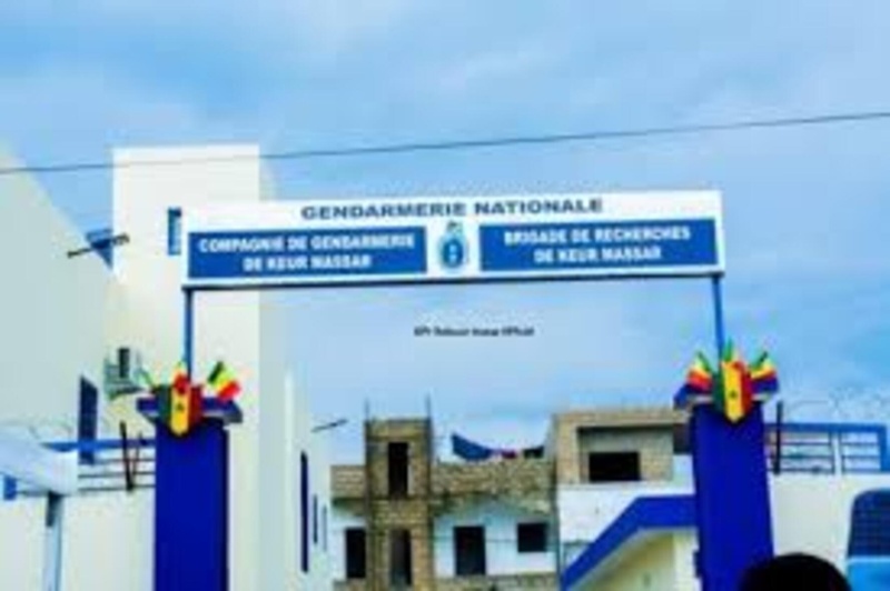 Keur Massar : la gendarmerie démantèle un réseau de trafic de chanvre indien