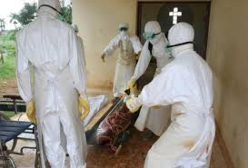 Épidémie : L’Ethiopie confirme l’apparition d’une épidémie du virus de Marburg Épidémie : L’Ethiopie confirme l’apparition d’une épidémie du virus de Marburg