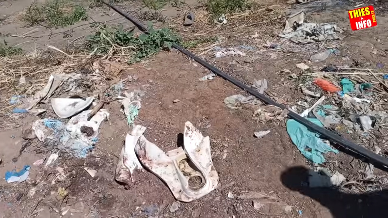 Thiès – Drame aux Parcelles Assainies : le corps retrouvé dans un champ identifié, il s’agit de Thierno Cissé, 18 ans Thiès – Drame aux Parcelles Assainies : le corps retrouvé dans un champ identifié, il s’agit de Thierno Cissé, 18 ans