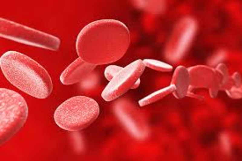 Santé : Un traitement innovant et abordable pour lutter contre la drépanocytose au Sénégal Santé : Un traitement innovant et abordable pour lutter contre la drépanocytose au Sénégal