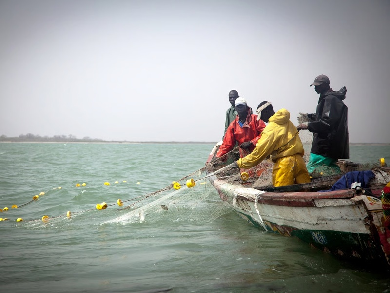 Reconduction du protocole de pêche entre le Sénégal et la Mauritanie Reconduction du protocole de pêche entre le Sénégal et la Mauritanie