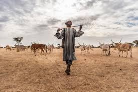 « Je l’ai surpris avec ma mère » : un berger accusé, un fils hors de lui