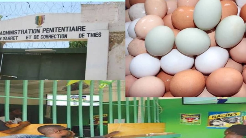 Thiès : un homme condamné à quatre mois de prison ferme pour vol d’œufs