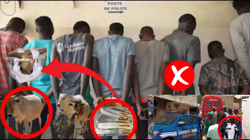 Braquage spectaculaire à Thiès: neuf accusés, le parquet requiert la perpétuité Braquage spectaculaire à Thiès: neuf accusés, le parquet requiert la perpétuité