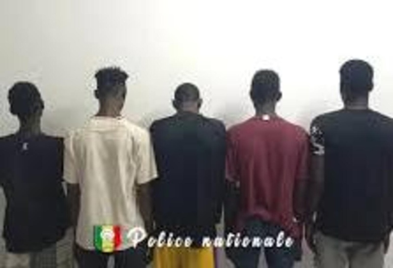 Mbacké : La police démantèle un réseau de voleurs de bétail, un berger sous bracelet électronique parmi les suspects