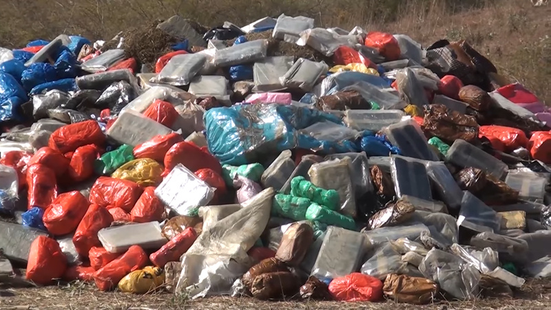 Lutte contre la drogue à Thiès : incinération massive de stupéfiants et produits impropres