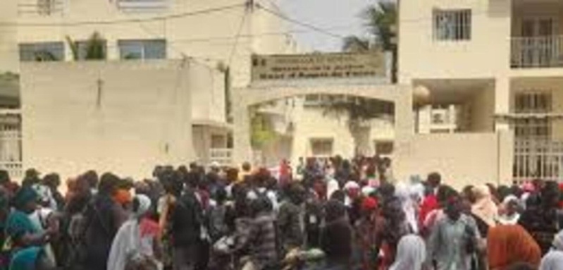 THIÈS : il promettait des bœufs importés de France, un vétérinaire condamné THIÈS : il promettait des bœufs importés de France, un vétérinaire condamné