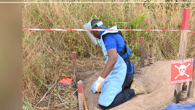 Casamance : plus de 1,28 million de mètres carrés restent à déminer, selon le CNAMS
