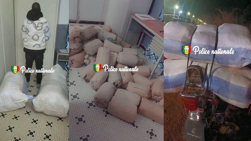 Ziguinchor : une opération de sécurité met fin aux activités d’un individu suspecté Ziguinchor : une opération de sécurité met fin aux activités d’un individu suspecté