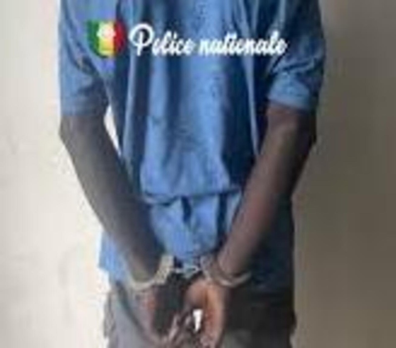 Livraison de chanvre déjouée à Bignona : un tailleur sous mandat de dépôt Livraison de chanvre déjouée à Bignona : un tailleur sous mandat de dépôt