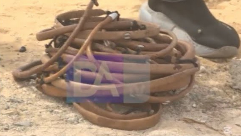 Découverte inquiétante au cimetière des Abattoirs lors d’une opération de désherbage Découverte inquiétante au cimetière des Abattoirs lors d’une opération de désherbage