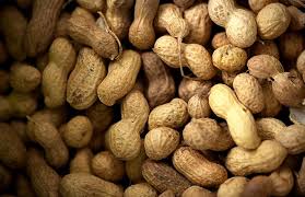 Arachide : l’État ouvre officiellement les exportations aux producteurs et commerçants