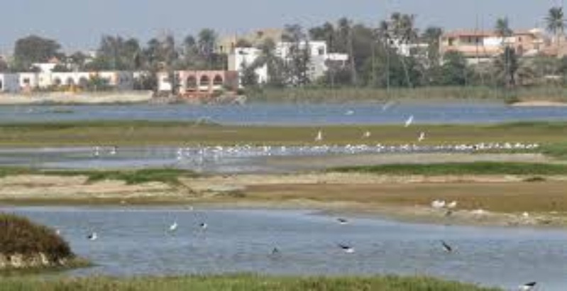 Technopôle de Dakar : joyau écologique sous pression