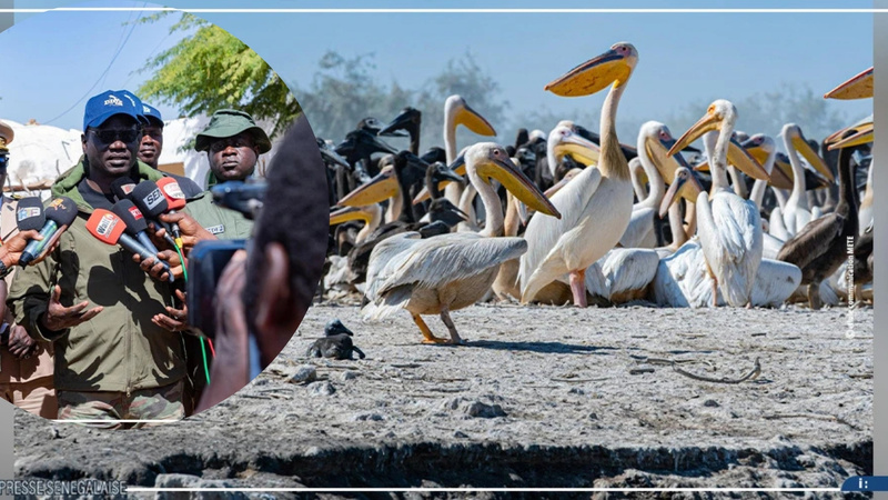 Vers des partenariats public-privé pour une gestion durable du Parc national des oiseaux de Djoudj Vers des partenariats public-privé pour une gestion durable du Parc national des oiseaux de Djoudj