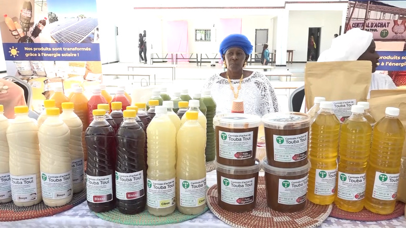 Thiès : l’énergie solaire au service de la transformation des produits agricoles Thiès : l’énergie solaire au service de la transformation des produits agricoles